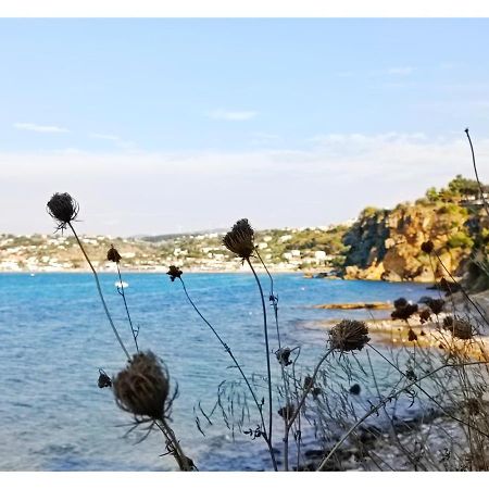 Case D'Anna Castellammare del Golfo Exteriér fotografie